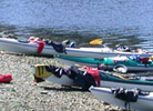 Beached Kayaks